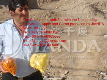 DWC系列脫水蔬菜帶式干燥機