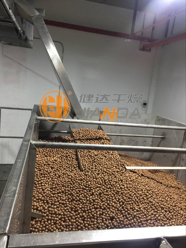 澳洲堅果干燥生產(chǎn)線